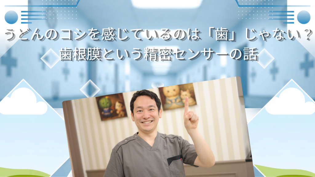 うどんのコシを感じているのは「歯」じゃない？　歯根膜という精密センサーの話